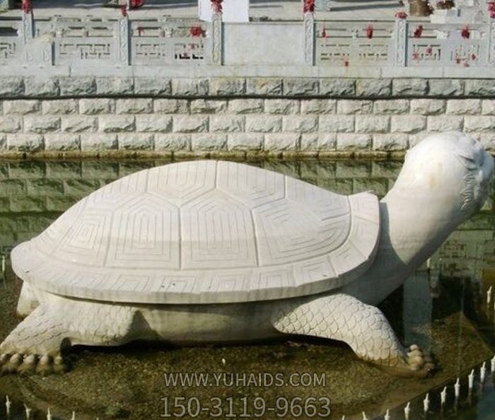 池塘大理石大型仿真烏龜?shù)袼?>
                                <h2>池塘大理石大型仿真烏龜?shù)袼?參數(shù)說明</h2>
                                                                        <table>
                                      <tr>
                                        <th>產(chǎn)品標(biāo)題</th>
                                        <td>池塘大理石大型仿真烏龜?shù)袼?/td>
                                      </tr>
                                      <tr>
                                        <th>發(fā)布時間</th>
                                        <td>2023-06-07 11:51</td>
                                      </tr>
                                      <tr>
                                        <th>價格</th>
                                        <td><span>電話咨詢</td>
                                      </tr>
                                                                              <tr>
                                          <th>其他</th>
                                          <td>仿真</td>
                                        </tr>
                                                                              <tr>
                                          <th>制作材質(zhì)</th>
                                          <td>大理石</td>
                                        </tr>
                                                                          </table>
                                <h2>池塘大理石大型仿真烏龜?shù)袼?詳細(xì)說明</h2>
                                <p>玉海雕塑是一家綜合性的雕塑公司，擁有多款池塘大理石大型仿真烏龜?shù)袼苣Ｐ?，可加工定制多種池塘大理石大型仿真烏龜?shù)袼埽С植馁|(zhì)、樣式、風(fēng)格、尺寸大小等方面的調(diào)整修改定制。我們所加工制作的池塘大理石大型仿真烏龜?shù)袼苜|(zhì)優(yōu)價廉，遍布全國多個省市地區(qū)，想要了解更多案例圖片，請電話或微信咨詢。材質(zhì)、大小、樣式等都可以按需定制，還可根據(jù)您提供給的池塘大理石大型仿真烏龜?shù)袼軜訄D進(jìn)行制作！如有相關(guān)需求，歡迎致電（微信同號）：<span>150-3119-9663</span></p>
                                                                <div   class=