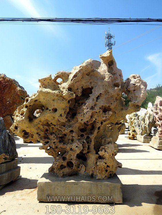 純天然戶(hù)外水景景觀珊瑚石雕塑